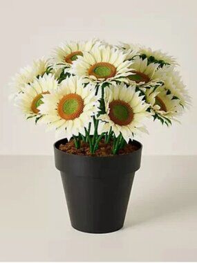 Wicker Park 17" Jumbo Bloom Potted Sunflower Arrangement-White-NEW-H527960